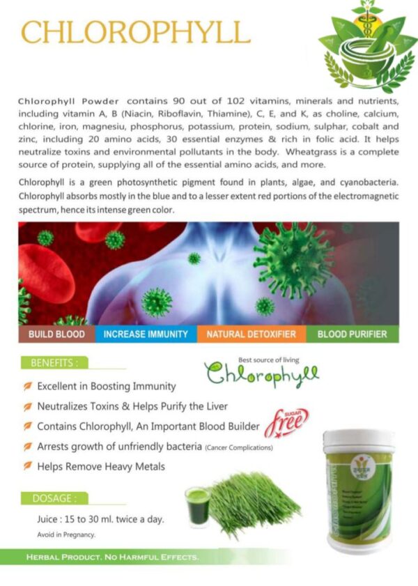 Chlorophyll juice - Image 2