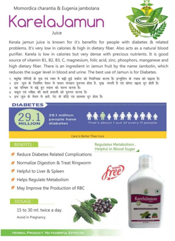 Karela Jamun juice - Image 2
