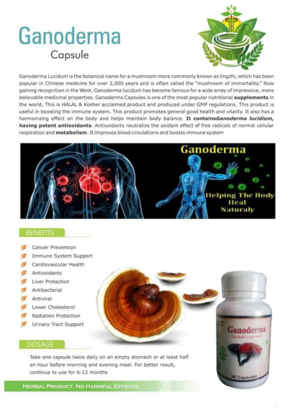 Ganoderma - Image 2