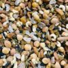 1KG MIX DRY FRUIT - Image 2