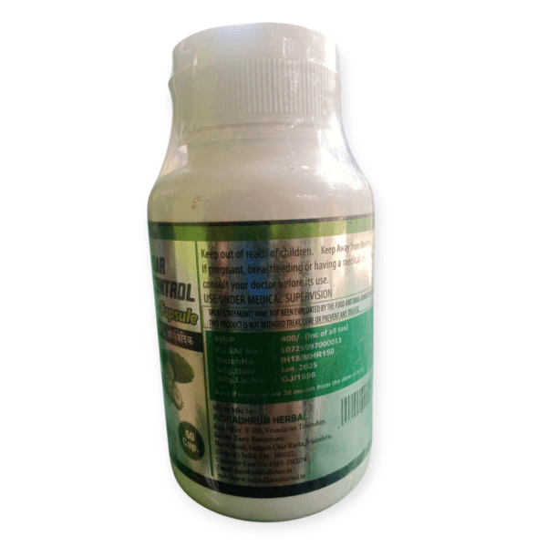 Sugar Control 60Capsule - Image 2