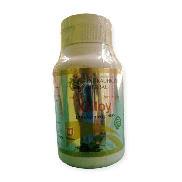 Giloy immunity Wellness 60 Capsule
