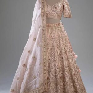 Premium Women Lehenga and dupatta premium quality Products ¹no Products women Fashion