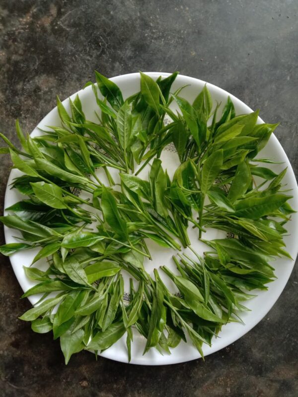 Chilarai Assam Organic Green Tea 100g(2 Peck 100×2=200g) - Image 6