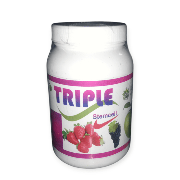 Triple Stem Cells